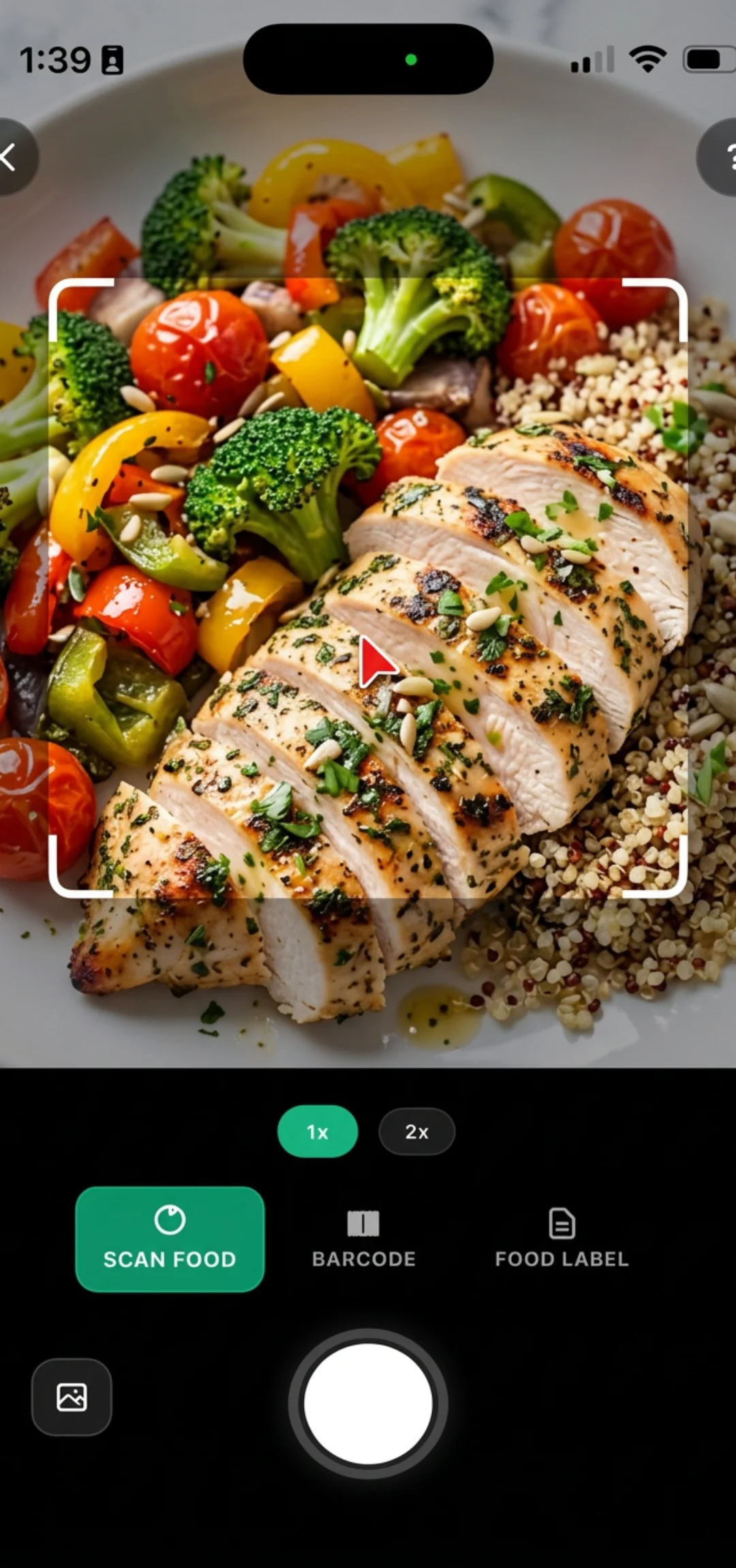 KeyMacro Smarter Snap — plate scan with detected foods and macros